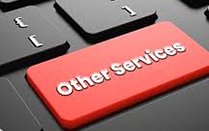 Other Services